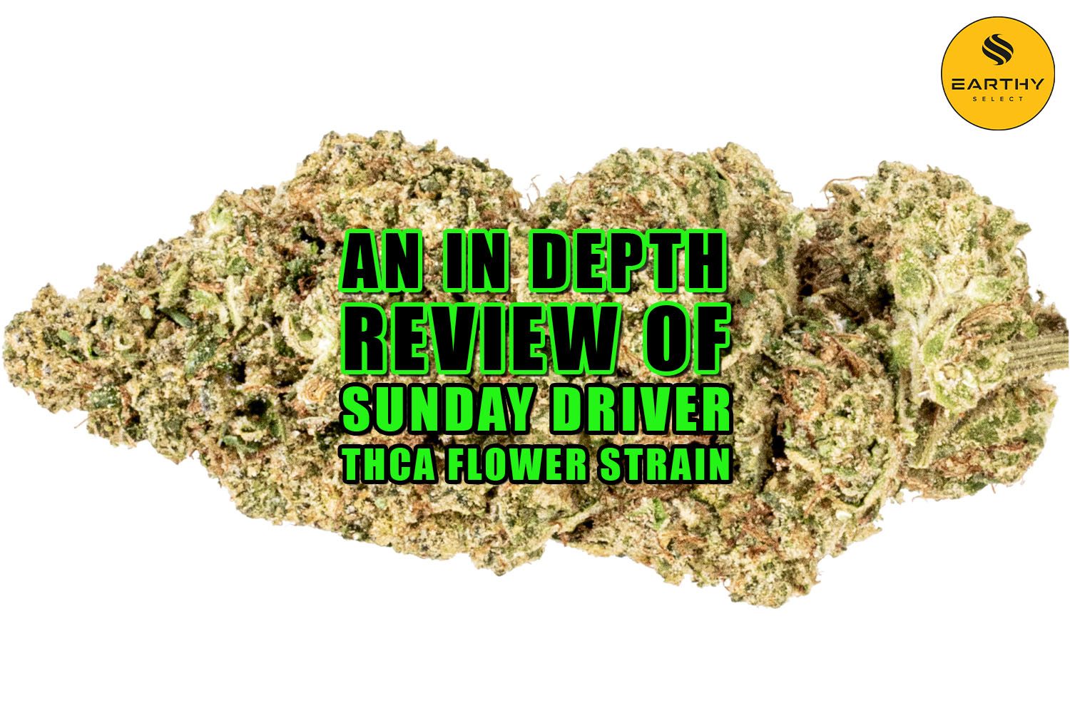 An In-depth Review of Sunday Driver THCa Flower Strain. Earthy Select