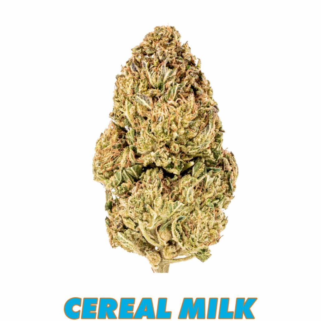 Premium - Cereal Milk