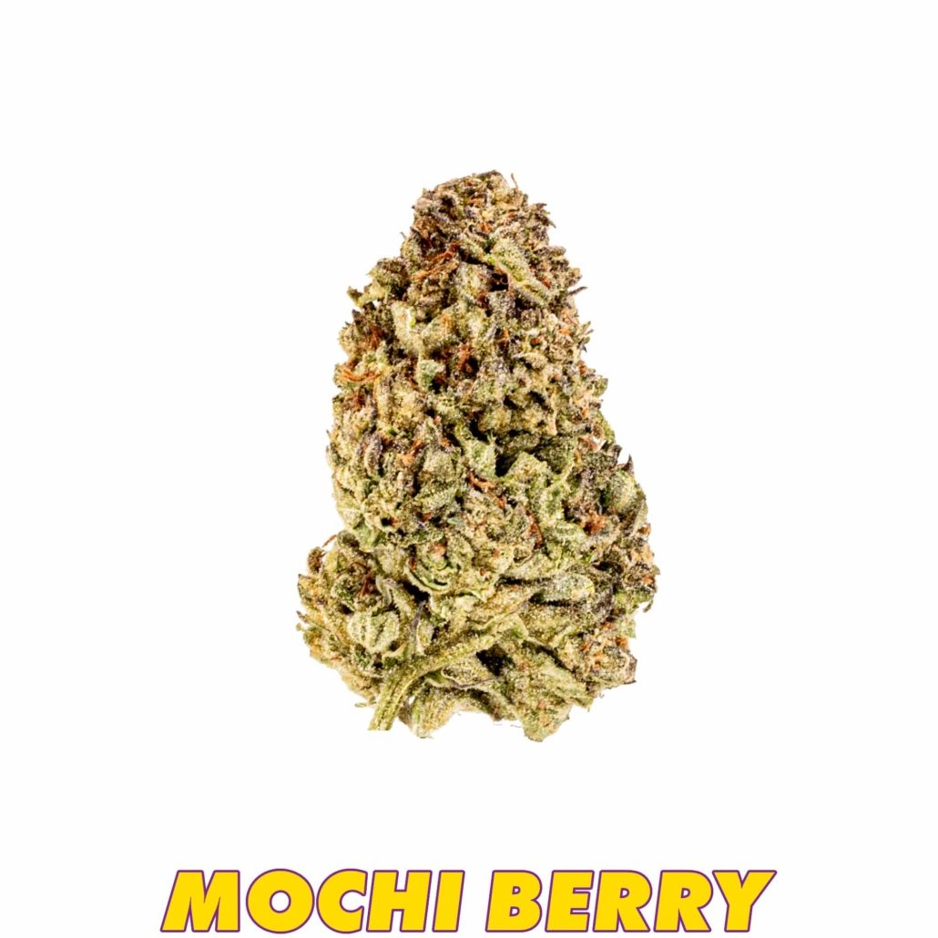 Premium - Mochi Berry