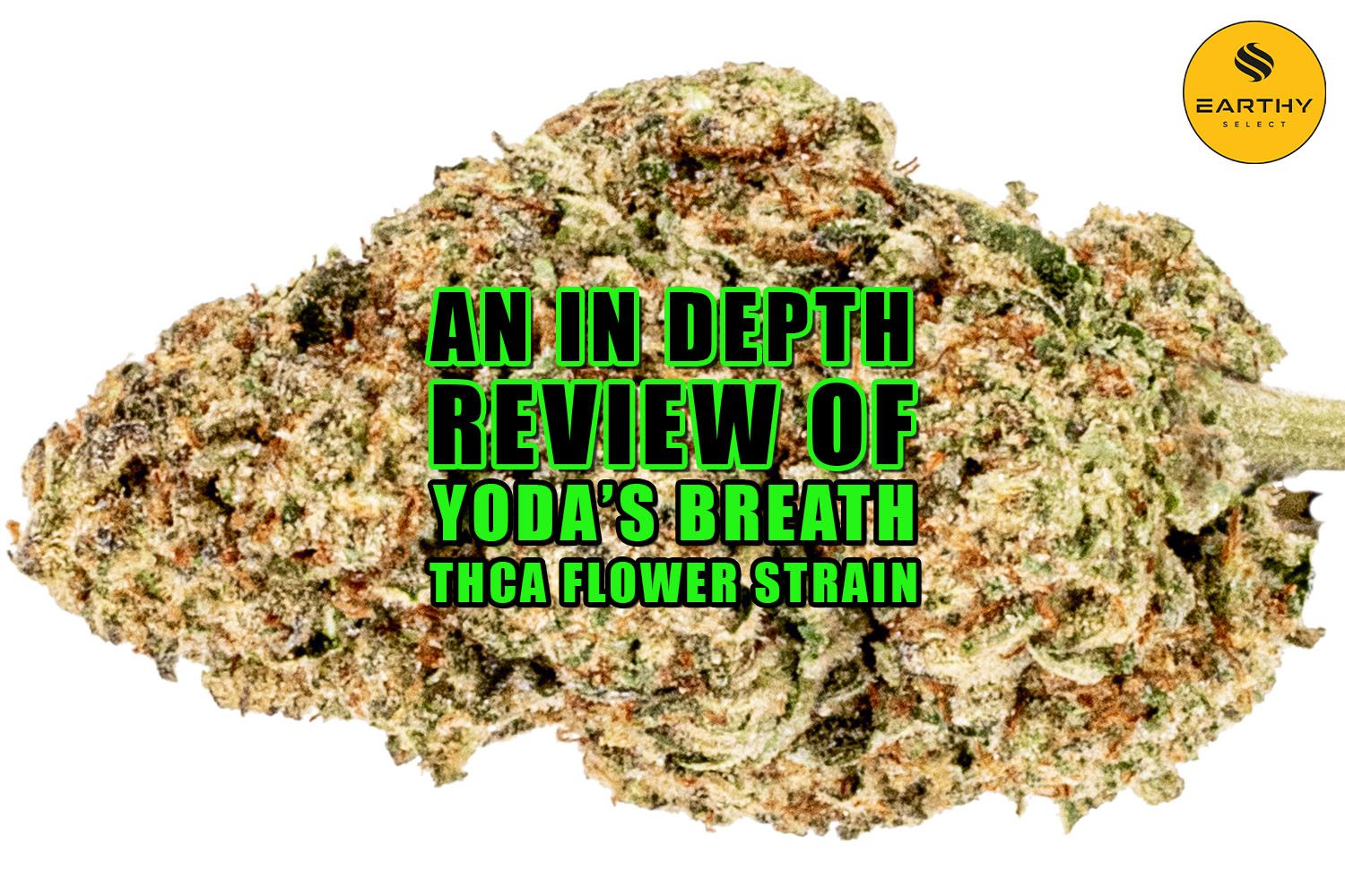 An In-depth Review of Yoda's Breath THCa Flower Strain. Earthy Select