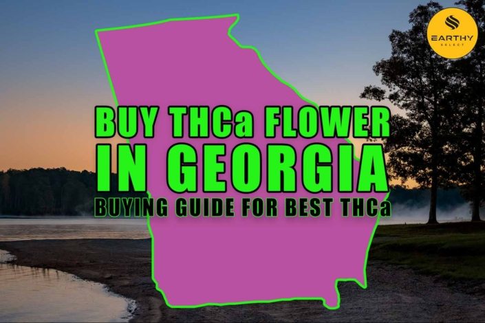 Buy THCa Flower In Georgia - Buying Guide For Best THCa. Earthy Select
