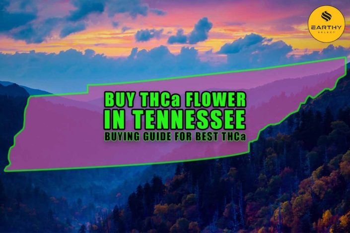 Buy THCa Flower In Tennessee - Buying Guide For Best THCa | Earthy Select