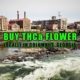 Buy THCa Flower Locally In Columbus, Georgia. Earthy Select THCa