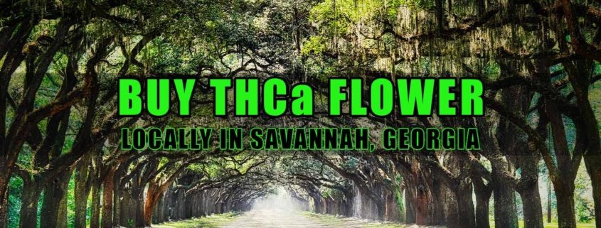 Buy THCa Flower Locally In Savannah, Georgia | Earthy Select