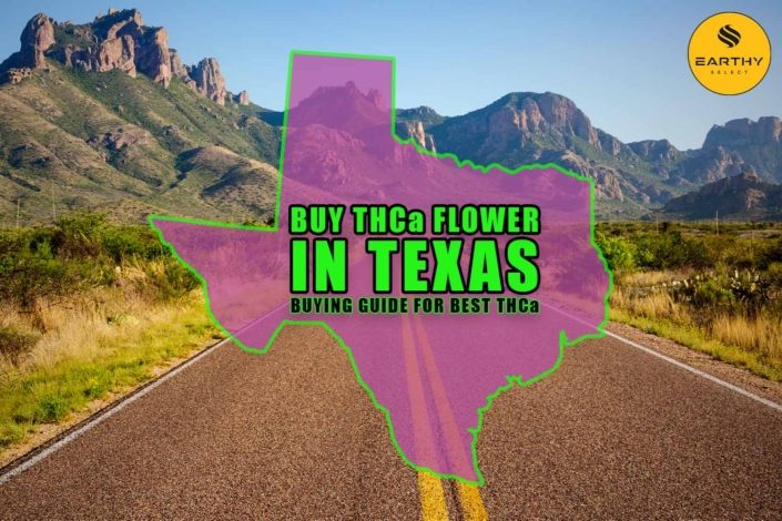 Buy THCa Flower In Texas - Buying Guide For Best THCa | Earthy Select