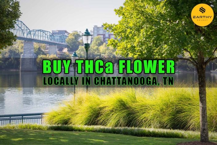 Buy THCa Flower Locally In Chattanooga, Tennessee. Earthy Select