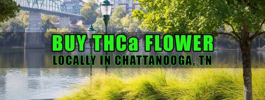 Buy THCa Flower Locally In Chattanooga, Tennessee. Earthy Select