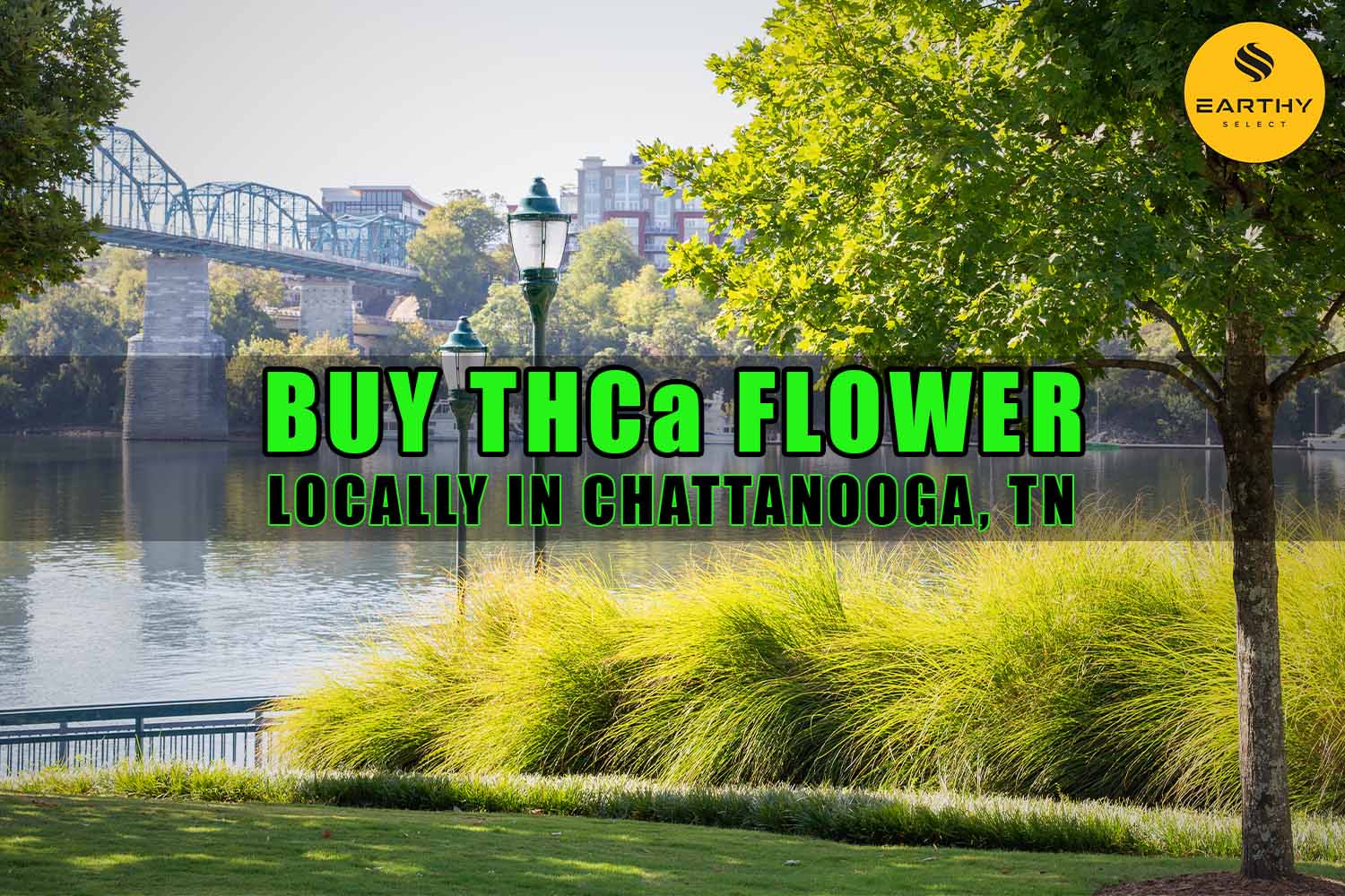 Buy THCa Flower Locally In Chattanooga, Tennessee. Earthy Select