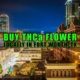Buy THCa Flower Locally In Fort Worth, Texas | Earthy Select