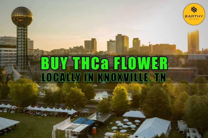 Buy THCa Flower Locally In Knoxville, Tennessee