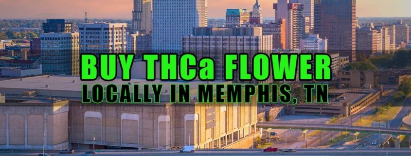 Buy THCa Flower Locally In Memphis, Tennessee. Earthy Select