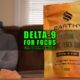 Delta-9 for Focus: Can It Really Help? | Earthy Select
