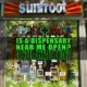 Is a Dispensary Near Me Open? Get Your Cannabis Quickly | Earthy Select