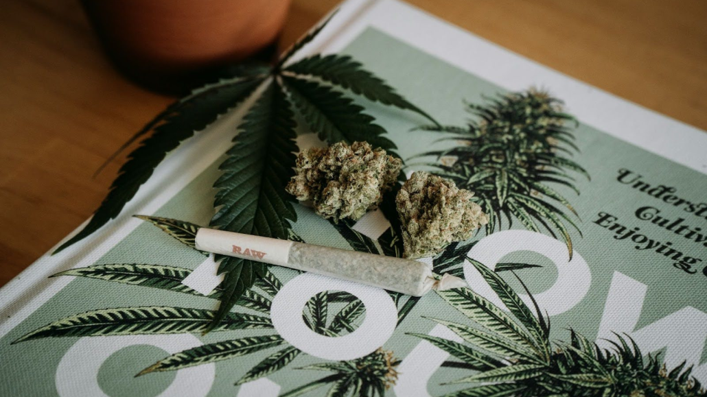 Cannabis Flower, Hemp, And A Pre-Roll On A Table
