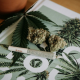 Cannabis Flower, Hemp, And A Pre-Roll On A Table