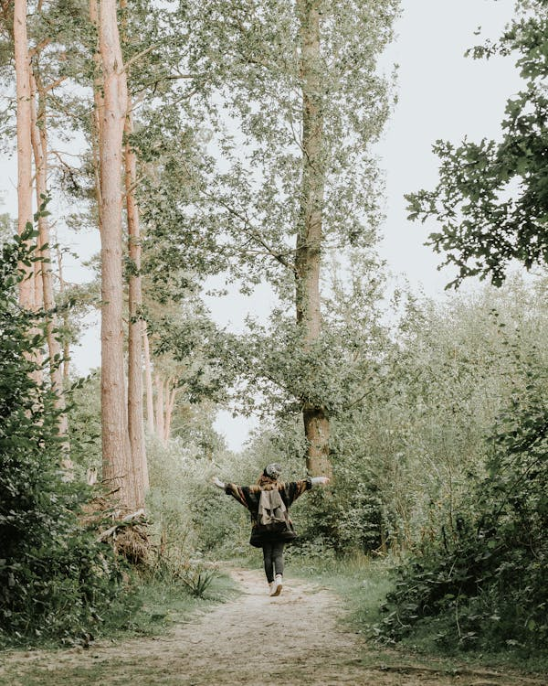 Woman Walking In The Woods
