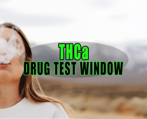 How Long Does THCa Stay In Your System
