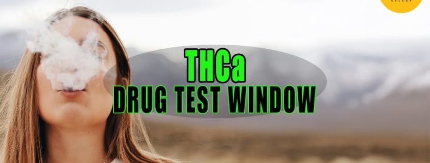 How Long Does THCa Stay In Your System