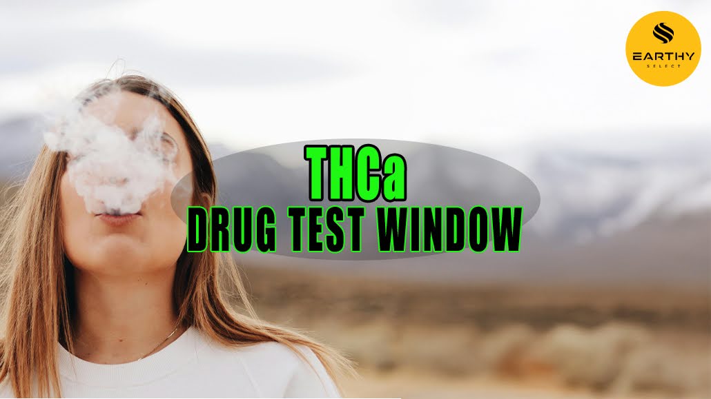 How Long Does THCa Stay In Your System