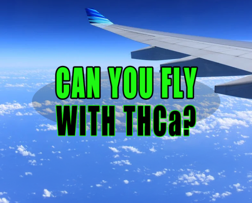 Can You Fly with THCa?