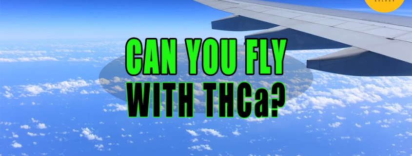 Can You Fly with THCa?