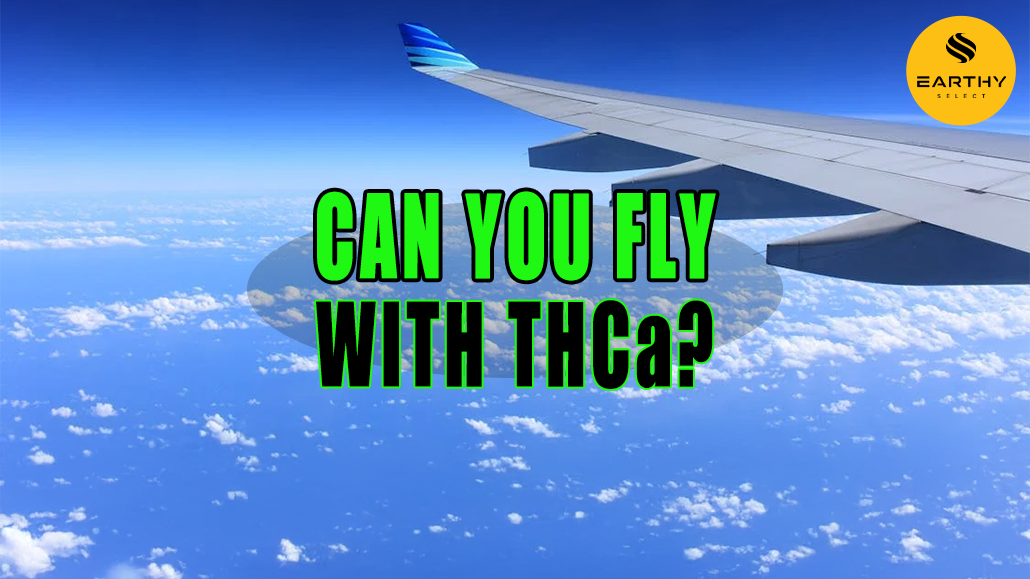 Can You Fly with THCa?