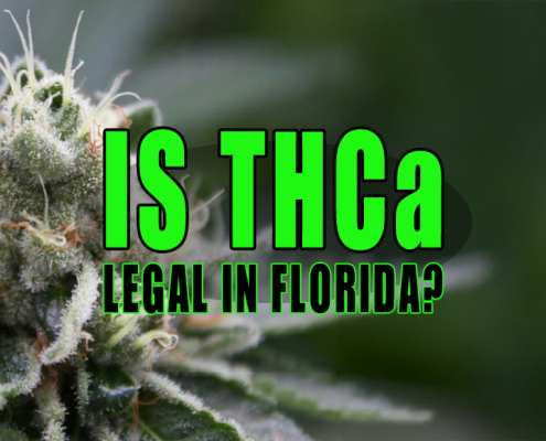 Photo of a cannabis plant with trichomes
