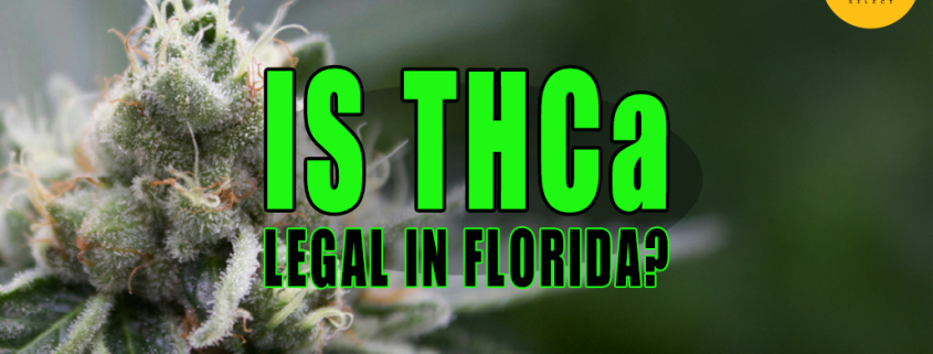 Photo of a cannabis plant with trichomes