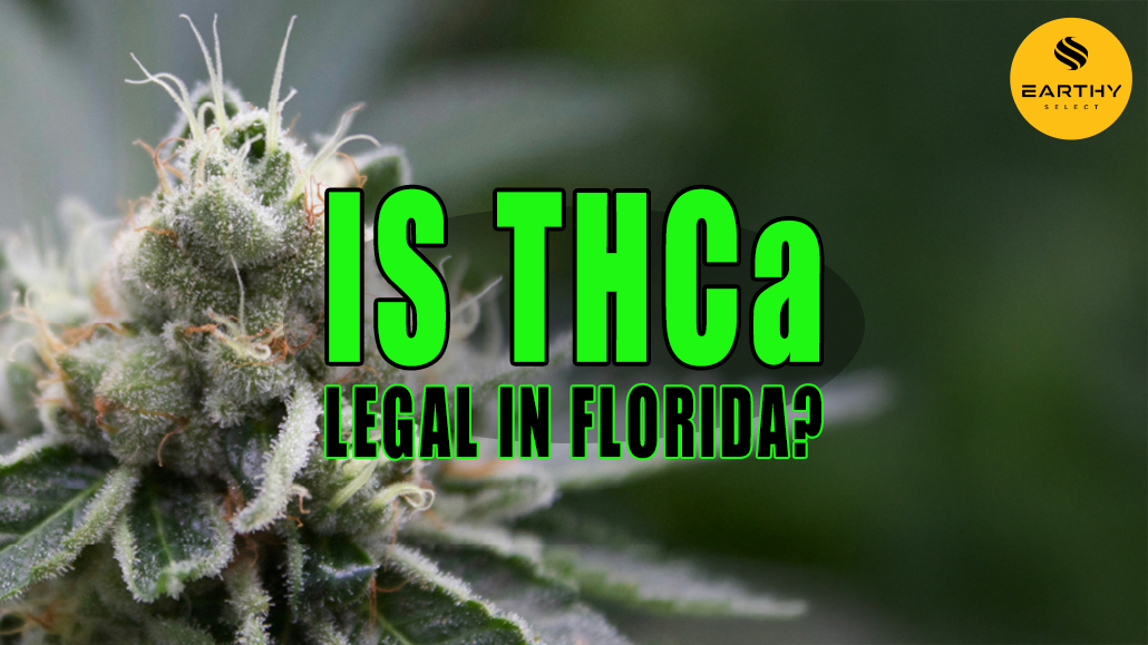 Photo of a cannabis plant with trichomes