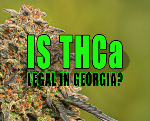 Photo of a cannabis plant with trichomes