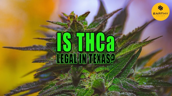 Photo of a cannabis plant with trichomes