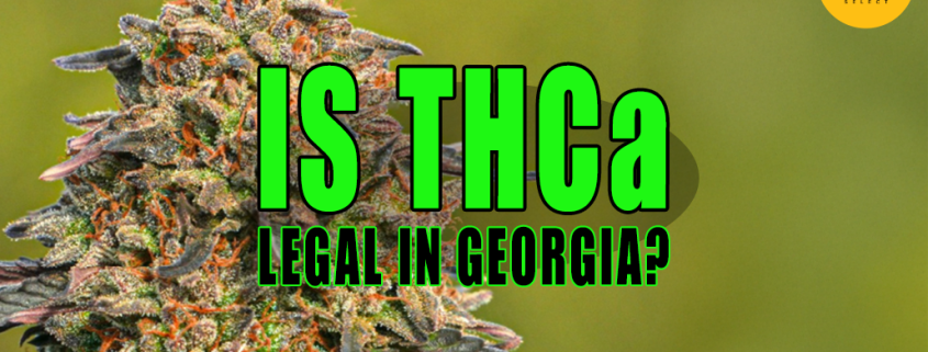 Photo of a cannabis plant with trichomes