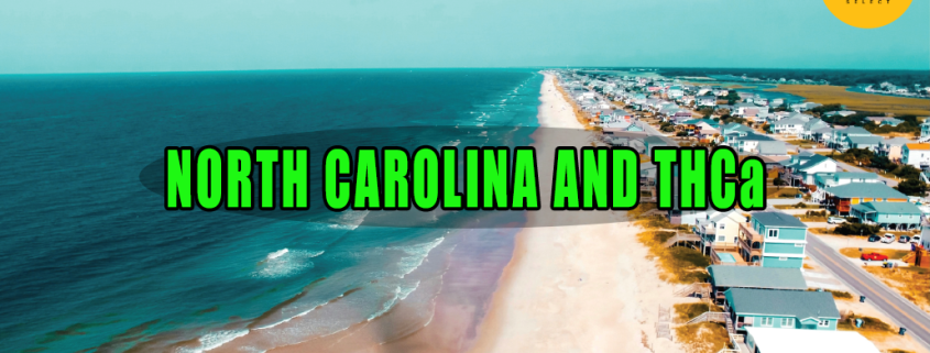 Aerial view of North Carolina beach in the day