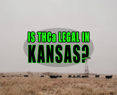 Field in Kansas