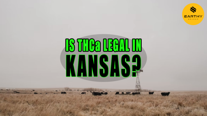 Field in Kansas Field in Kansas
