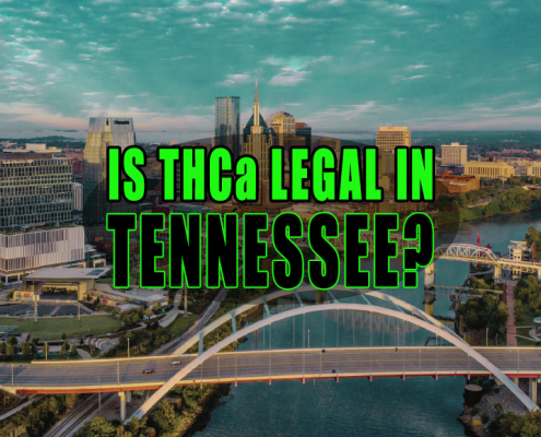 Learn whether THCa is legal in Tennessee