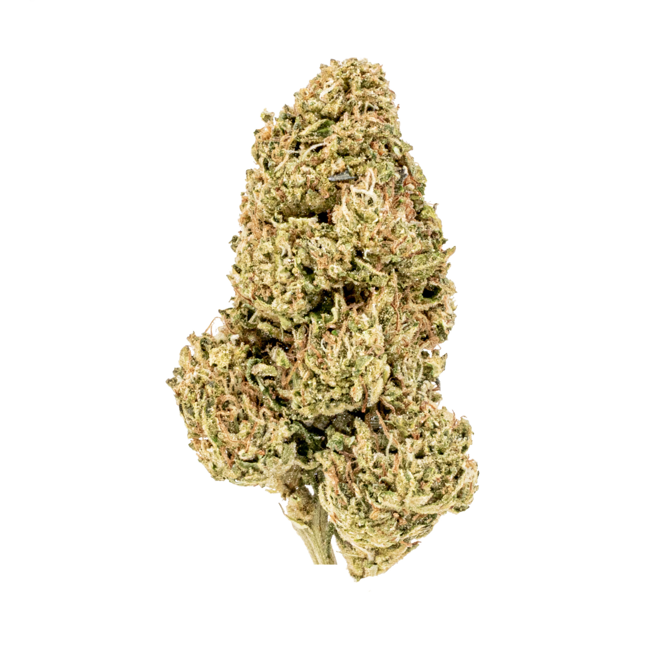 Cereal Milk AAA THCa Flower strain from Earthy Select
