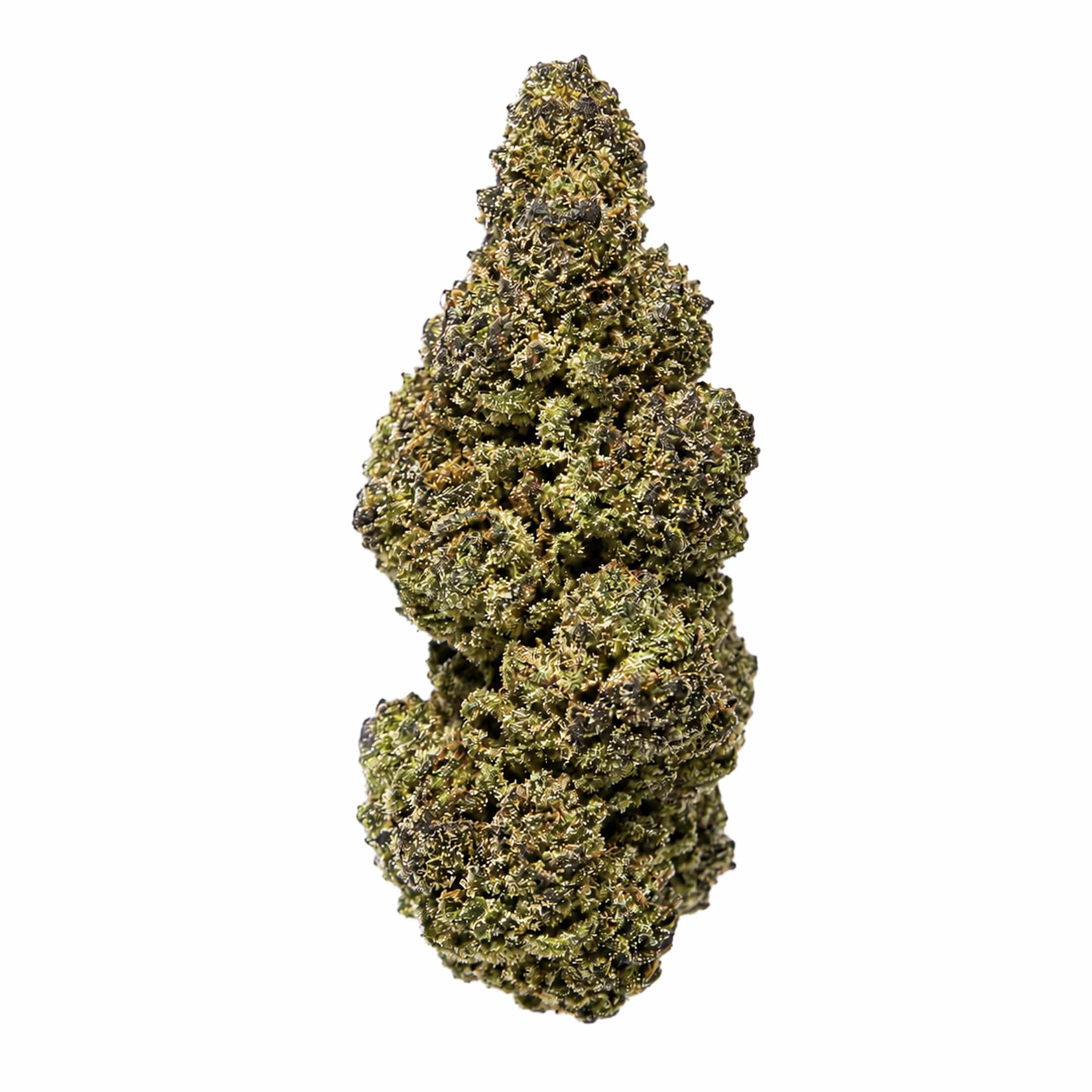 Blue City Diesel AAA THCa Flower strain from Earthy Select