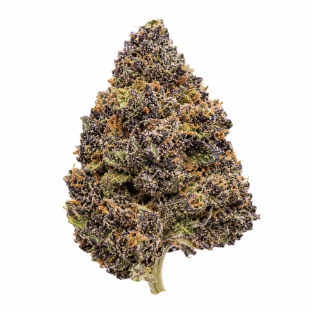 2026 - THCA Flower Bud - AAA - Cookie Monster 2026 - THCA Flower Bud - AAA - Cookie Monster