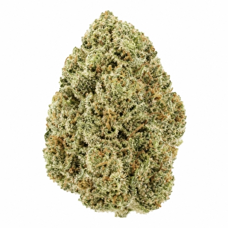 2026 - THCA Flower Bud - AAA - Panda Breath 2026 - THCA Flower Bud - AAA - Panda Breath