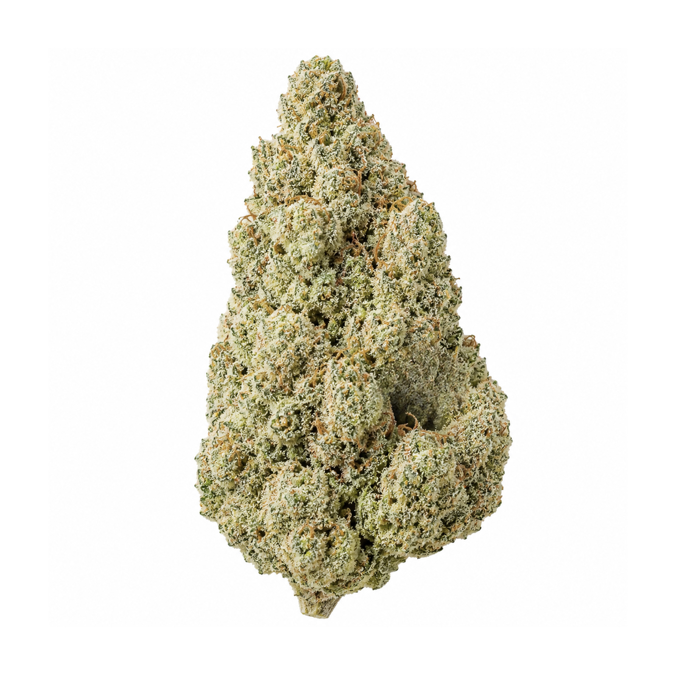 Trainwreck AAA THCa Flower strain from Earthy Select