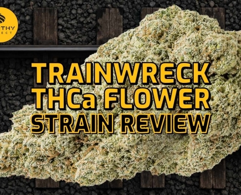 Earthy Select - Trainwreck - AAA THCa Flower Strain Review