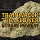 Earthy Select - Trainwreck - AAA THCa Flower Strain Review