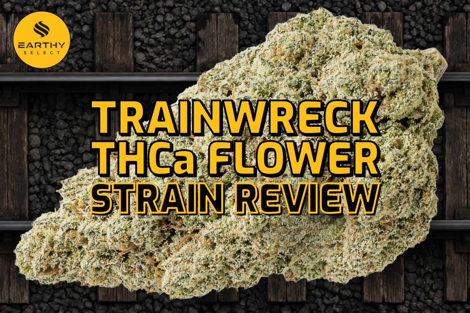 Earthy Select - Trainwreck - AAA THCa Flower Strain Review Earthy Select - Trainwreck - AAA THCa Flower Strain Review