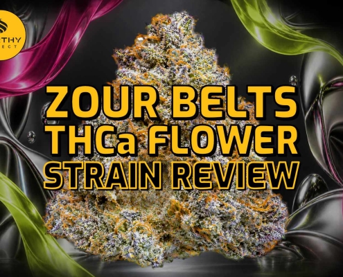 Zour Belts THCa Flower Strain Review - Earthy Select - Blog