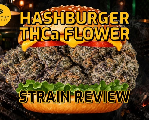Hashburger THCa Flower Strain Review - Earthy Select - Blog