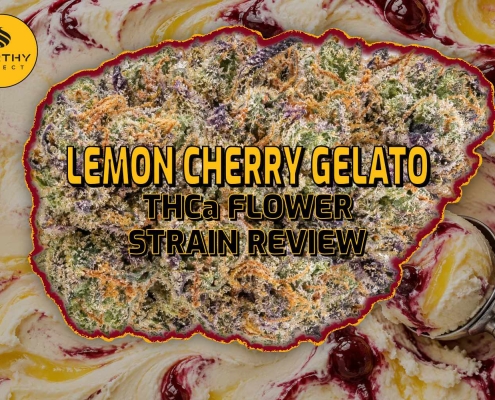 Lemon Cherry Gelato THCa Flower Strain Review - Earthy Select - Blog