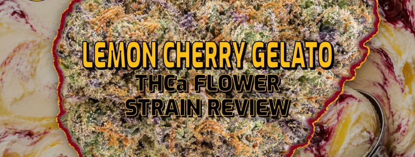 Lemon Cherry Gelato THCa Flower Strain Review - Earthy Select - Blog