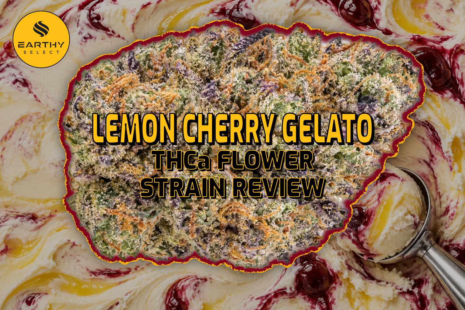 Lemon Cherry Gelato THCa Flower Strain Review - Earthy Select - Blog