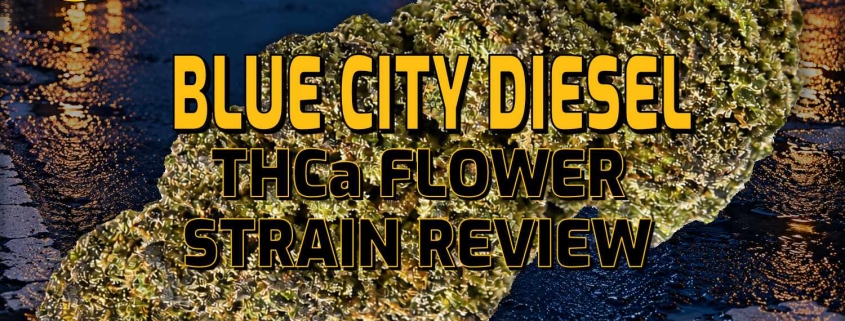 Blue City Diesel THCa Flower Strain Review - Earthy Select - Blog